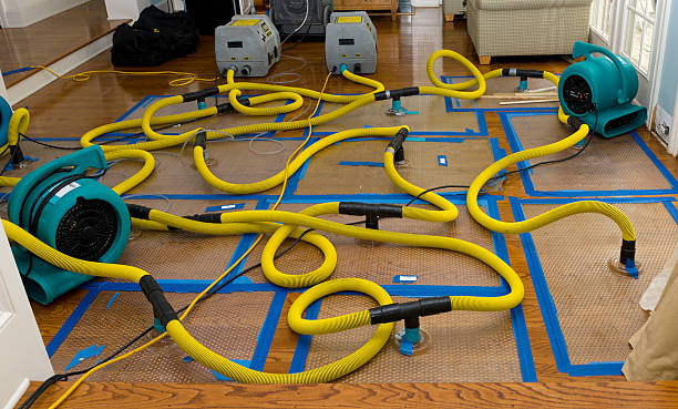 Professional Sewage Cleanup technician working in Isle, MN